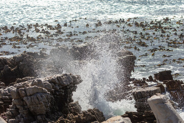 Waves breaking on a rock at Stony Point in Betty's Bay, Western Cape of South Africa