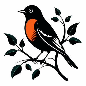 recommend clip art: vector art black silhouette american robin bird  illustration