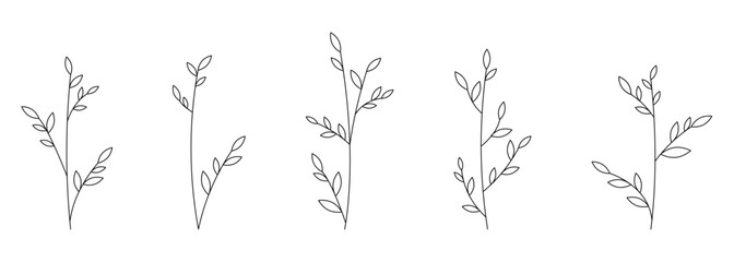 Elegant Line Art of Delicate Plant Stems