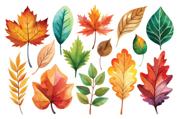 Watercolor Illustration of Various Autumn Leaves