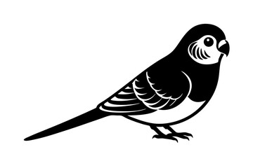 Parakeet silhouette vector illustration