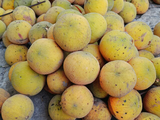 Ripe Santol or Sentul fruit in the natural garden.(Sandoricum koetjape).