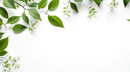 Obraz premium Fresh green leaves scattered on white background