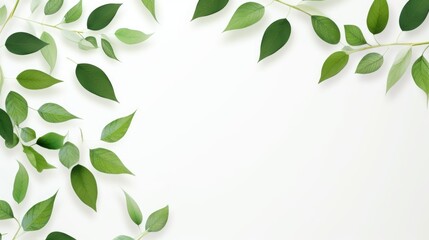 Obraz premium Fresh green leaves scattered on white background