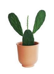 Blooming cactus growing in a pot decoration for houseplant and garden