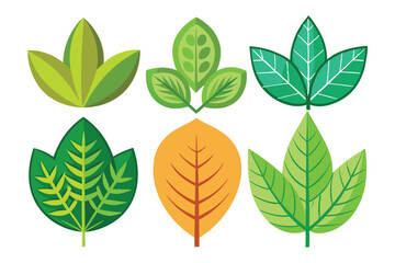 Fototapeta premium Collection of Six Stylized Green and Yellow Leaves