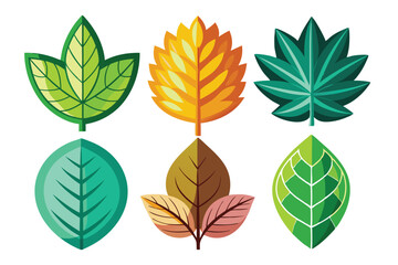 Obraz premium Colorful and Detailed Leaf Shapes, Isolated on White