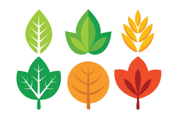 Fototapeta premium Colorful Stylized Leaf and Flower Shapes