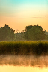 Summer morning on lake , reed on the lake . Red sky and red sun , reed on the beach .Trees and grass , morning nature . Sunrise over the lake and forest , reflections on the water , sun reflection. 