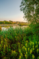 Sunrise over the river , trees and grass , golden hour in forest , summer morning . Sun over the woods , trees on the beach . Golden sun . Fog on a river . Morning landscape 
