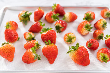 Washed Strawberries Drying on a Paper Towel-Lined Baking Sheet