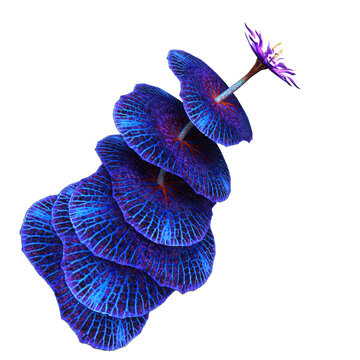 Alien Plants Images  Browse 103,552 Stock Photos, Vectors, and Video |  Adobe Stock
