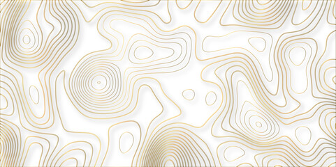 Abstract white colorful golden Topographic line map background. Contour elevation topographic and textured Background Modern design with White background with topographic wavy pate for decoration.	