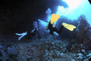 Diving is underwater swimming with special equipment. In English, where the word is taken from, the...