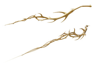 3D rendered illustration of golden branches/flora isolated on transparent background