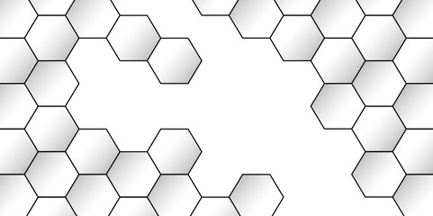 Luxury hexagonal abstract white background with black lines. Creative and decorative modern technological hexagon pattern background.