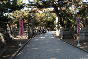 Obraz premium 京都, 北野天満宮, 梅花、神社、北野の天神さん、梅花祭