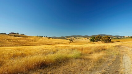 A picturesque rural landscape suffering from drought, with dry, yellowing grass and a clear blue sky overhead, emphasizing the intensity of the heatwave.
