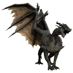 3D rendered illustration of a majestic dragon isolated on transparent background © HWWO Stock