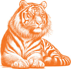 Obraz premium tiger vector