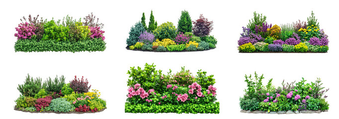 A colorful array of flowering plants and shrubs showcases a beautiful garden landscape under bright sunlight