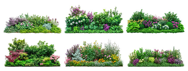 Vibrantly colored flower beds feature diverse plants blooming under bright natural light, showcasing an array of textures and patterns