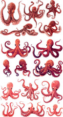 Octopus tentacles set with cartoon elements. Seafood restaurant symbols. Underwater animals with neoteric modern touches.