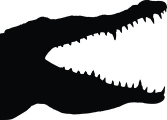 Crocodile with open mouth graphic illustration