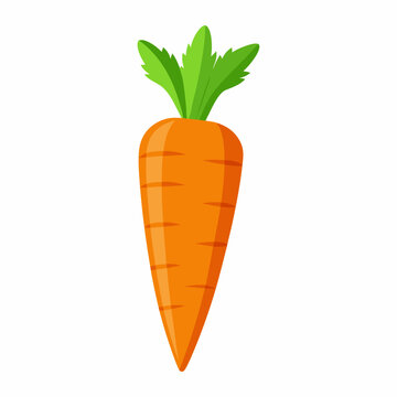 orange carrot with green leaves clip art preview
