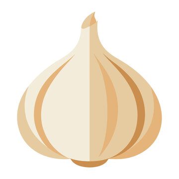 garlic vegetable for cooking meals. A bright element isolated on white for design. Vector illustration