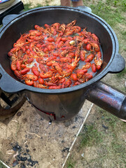 River crayfish are boiling in a cauldron over an open fire. The crayfish have turned red.