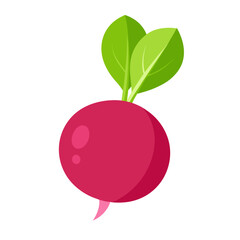 radish vegetable for cooking meals. A bright element isolated on white for design. Vector illustration
