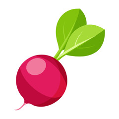 radish vegetable for cooking meals. A bright element isolated on white for design. Vector illustration