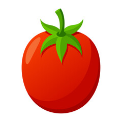 tomato vegetable for cooking meals. A bright element isolated on white for design. Vector illustration