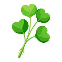 watercress vegetable for cooking meals. A bright element isolated on white for design. Vector illustration