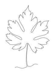 Obraz premium Continuous one line art drawing maple leaf