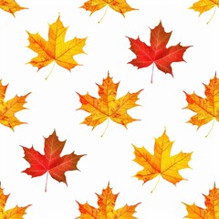Obraz premium Colorful Autumn Maple Leaves Scattered on White Background
