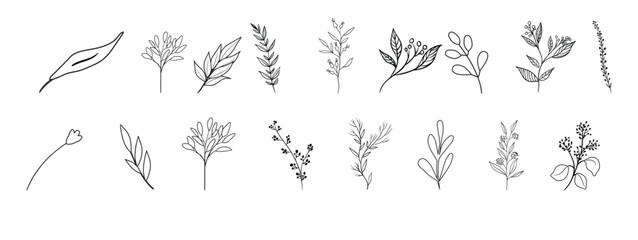 Black flower designs created by hand on a white background.