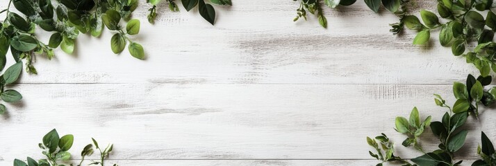 A rustic white wooden background with a border of fresh green leaves, symbolizing nature, growth, simplicity, freshness and tranquility.