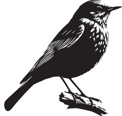 Bird silhouette vector art illustration.