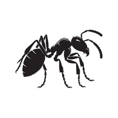 Ant vector art illustration eps file
