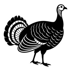 Wild Turkey Vector Illustration - Cartoon, Clipart, Line Art Design