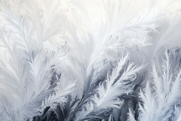 Feathers on snow. A winter abstract artwork using Light Grey, Soft White, Charcoal Black, and Pale Beige. Highlights understated elegance and refined aesthetics, ideal for sophisticated designs.