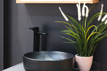 A bathroom nterior sink with a black basin and a potted plant on top of it. The sink is surrounded by a wooden vanity and a mirror. The potted plant adds a touch of greenery and life to the space