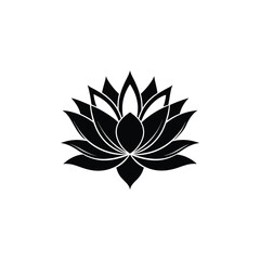 lotus flower vector