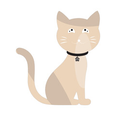 Cartoon Cat with Black Collar, Vector illustration of a cute cartoon cat with big eyes and a black collar, perfect for creative designs