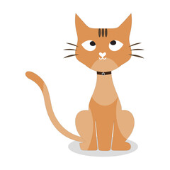 Cartoon Cat with Black Collar, Vector illustration of a cute cartoon cat with big eyes and a black collar, perfect for creative designs