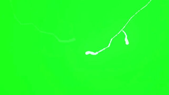 Green screen background free video of sticker effects modern green background.