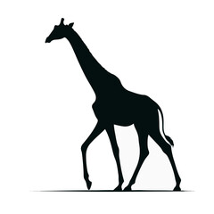 Fototapeta premium giraffe silhouette vector