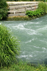 France, Saint Pierre de Boeuf, Loire. River landscape in summer.